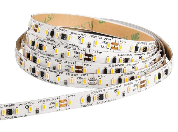 LEDstrip 927 LLE 6,2W 24V 4,8m 600lm G1